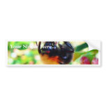 Bumblebee Macro bumper stickers