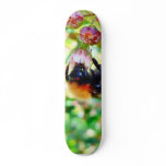 Bumblebee Macro skateboards