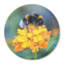 BumbleBee Magnet