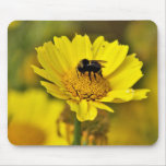 Bumblebee mousepad
