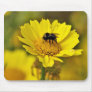 Bumblebee mousepad