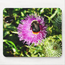 Bumblebee On Flower Mouse Pads