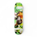 Bumblebee Skateboard Decks