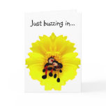 BumbleBees & Flower cards