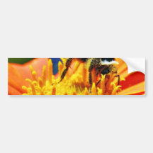 Bumblebees Flowers Macro Bumper Stickers