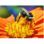 Bumblebees Flowers Macro photo sculptures