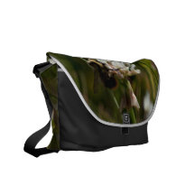 Bumbling in the Clover; No Text Commuter Bag