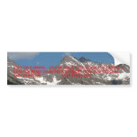 Bumper Sticker bumper stickers