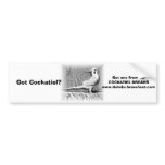 bumper sticker bumper stickers