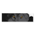 bumper sticker bumper stickers