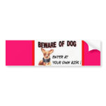 BUMPER STICKER bumper stickers