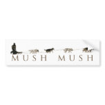 Bumper Sticker