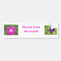 Bumper Sticker