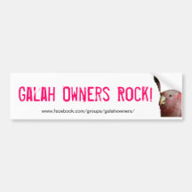 Bumper Sticker