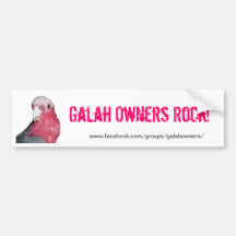 Bumper Sticker