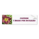 Bumper Sticker Brake for Daylilies