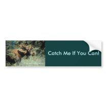 Bumper Sticker / Bull Moose