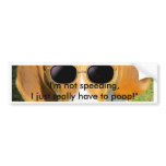 Bumper Sticker -"Cool Dog" w/sunglasses bumper stickers