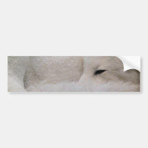 Bumper Sticker Template - Customized