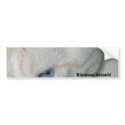 Bumper Sticker, White Siemease bumper stickers