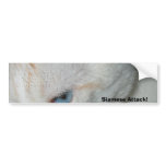 Bumper Sticker, White Siemease bumper stickers