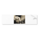 Bumpersticker