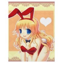 BunBun Flyer