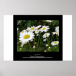 Bunch of Daisies Posters