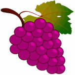 Bunch of grapes photo sculptures
