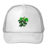 Bunch of peppers green mesh hats
