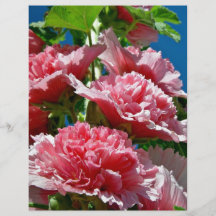 Bunch of Pink hollyhocks Flyer