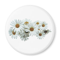 Bunch of White Daisies Refrigerator Magnets
