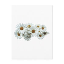 Bunch of White Daisies Postcard