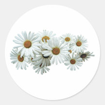 Bunch of White Daisies Round Sticker