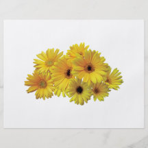 Bunch of Yellow Daisies Personalised Flyer