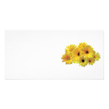Bunch of Yellow Daisies Photo Cards