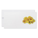 Bunch of Yellow Daisies Photo Greeting Card
