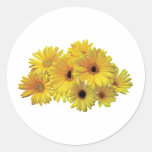 Bunch of Yellow Daisies Round Sticker