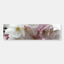 Bunches Bumper Stickers