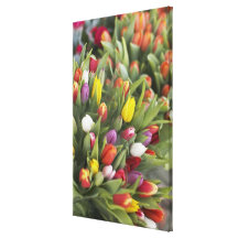 Bunches of colourful tulips canvas prints
