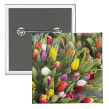 Bunches of colourful tulips pinback button