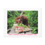 Bundle of Love for Valentine's Day Post Cards
