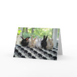 Bunnies Cards