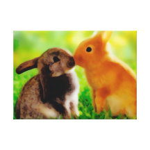 Bunnies in Love Canvas Prints