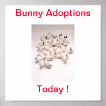 Bunny Adoption Today Sign Print