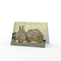 Bunny babies in the wild greeting card