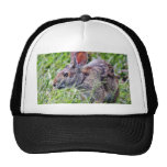 Bunny Bunnies Rabbits Mesh Hat