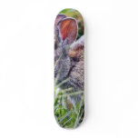 Bunny Bunnies Rabbits Skateboard Deck