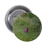 Bunny Button