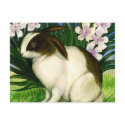 Bunny Card 1 postcards